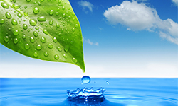 Fertilizanti NPK Hidrosolubili